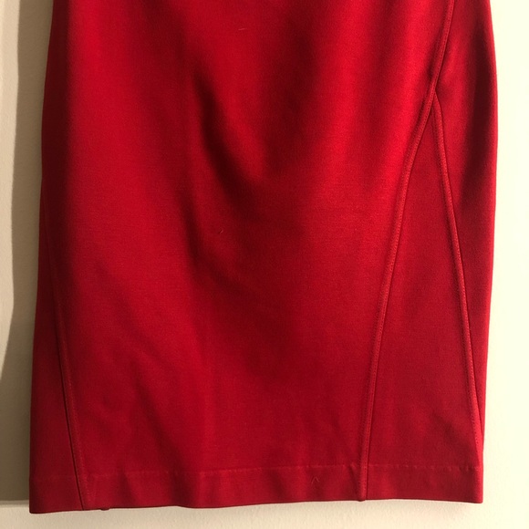 Express Bodycon Skirt - Picture 4 of 4